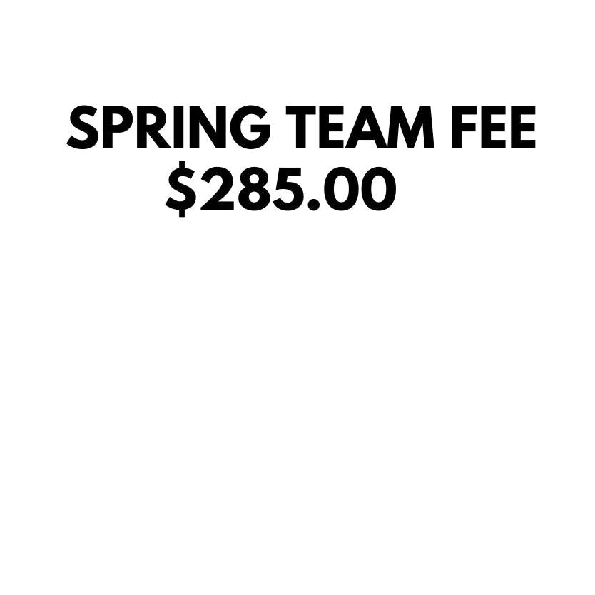 SPRING TEAM FEE